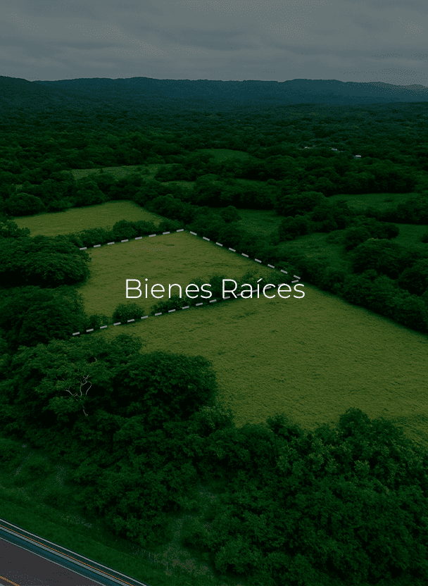 banner bienes raíces web